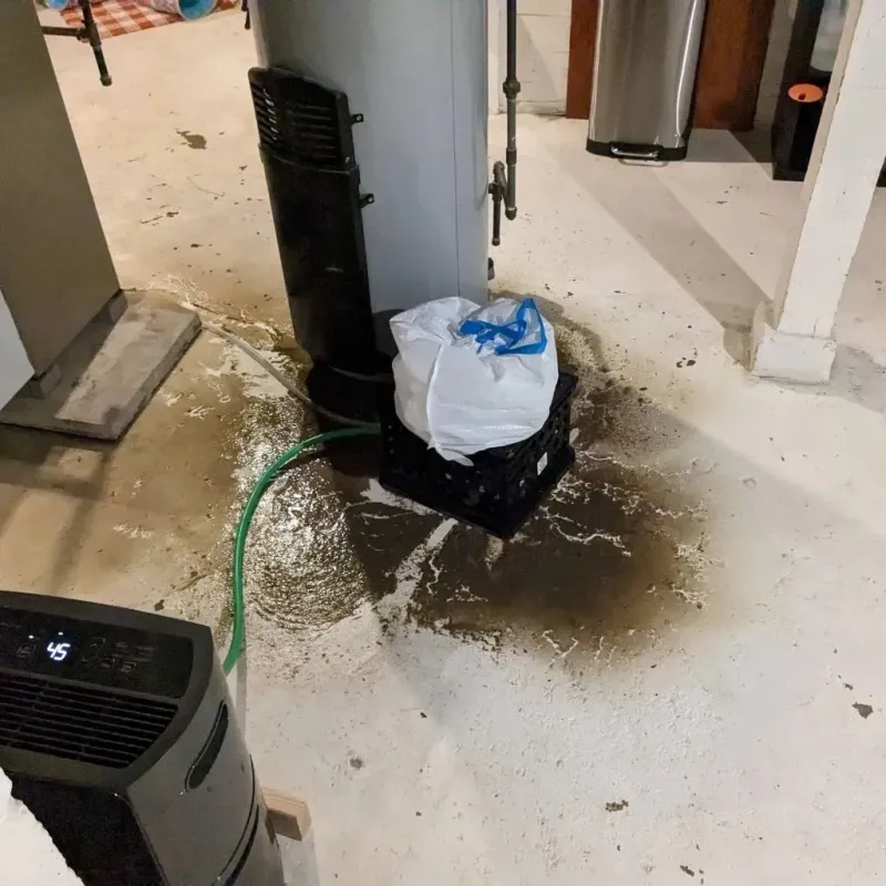 Sewage Backup Cleanup Service in Tuckerton, NJ